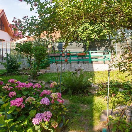 Barok Appart Brașov Exterior foto